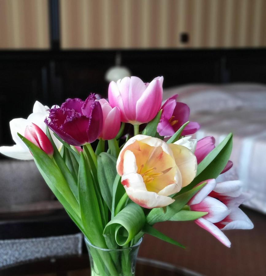 Attache Hotel Kijów Zewnętrze zdjęcie