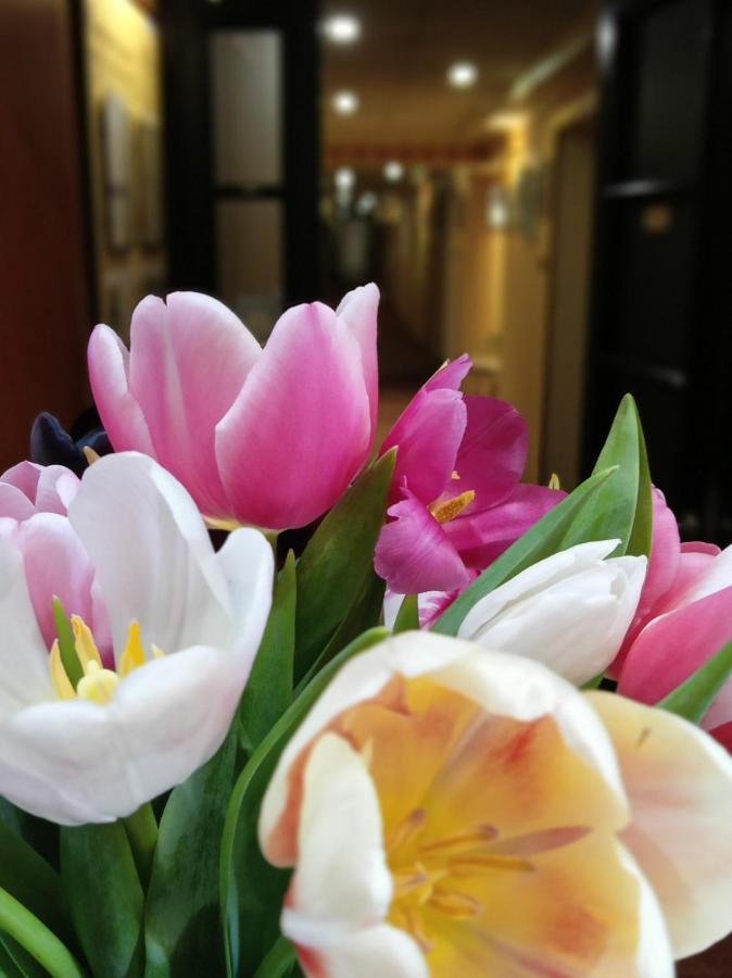 Attache Hotel Kijów Zewnętrze zdjęcie